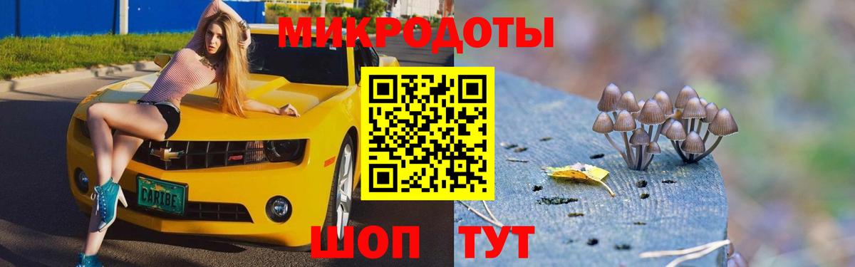 Новоалтайск  Псилоцибиновые грибы мухоморы  Вход с VPN 